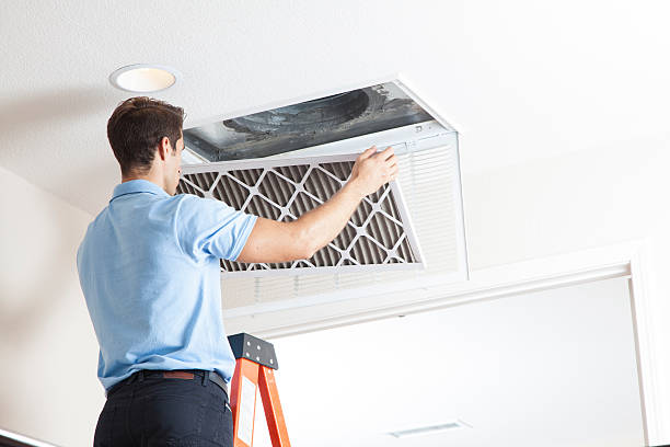 Best Air Quality Test  in Frostproof, FL